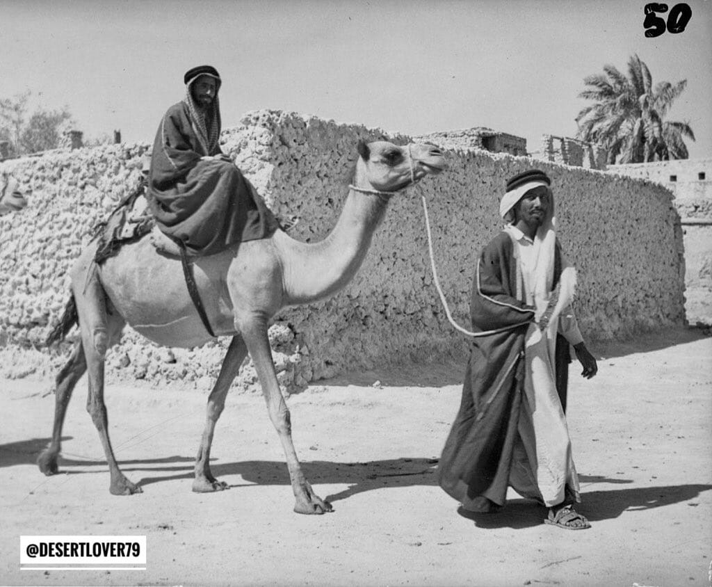 قائمة فحص شراء فيلا في القطيف قبل دفع العربون