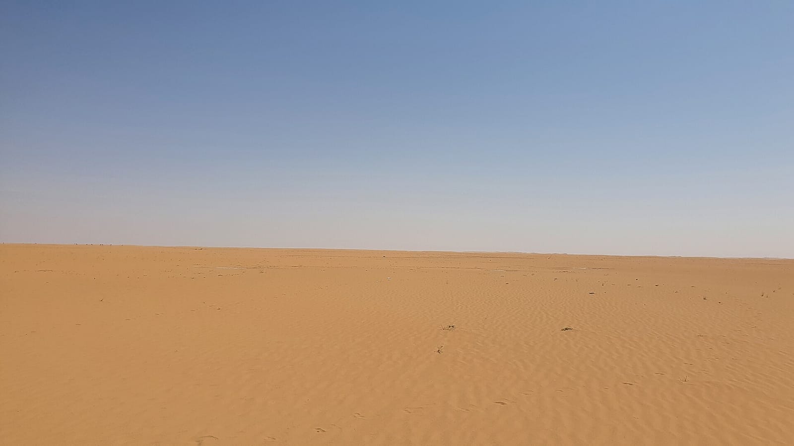 الشراء على الخارطة أم الجاهز في نجران: موازنة عملية