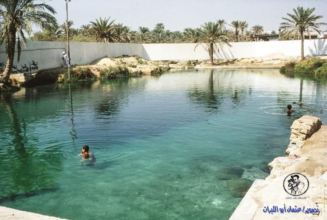 خطوات شراء شقة في صفوى من البحث حتى الإفراغ