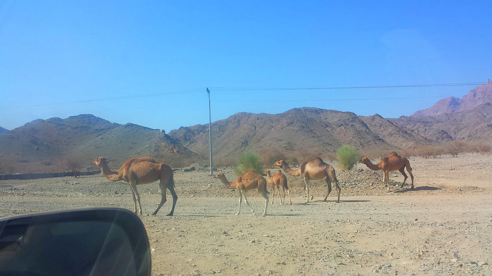 جاهزيتك للتمويل العقاري في بدر قبل البحث عن عقار