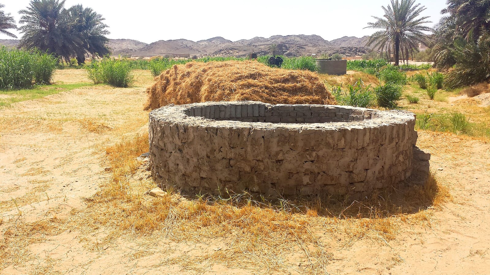 العقار الجديد أم المستعمل في بدر: كيف تقارن بإنصاف