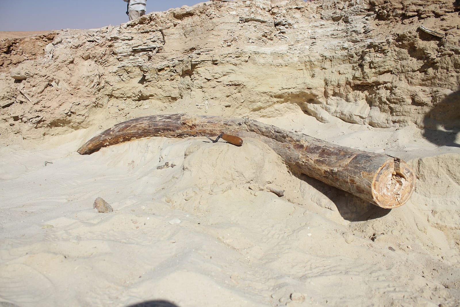 تجهيز منزلك للبيع في تيماء: ما يستحق الإصلاح وما لا يستحق