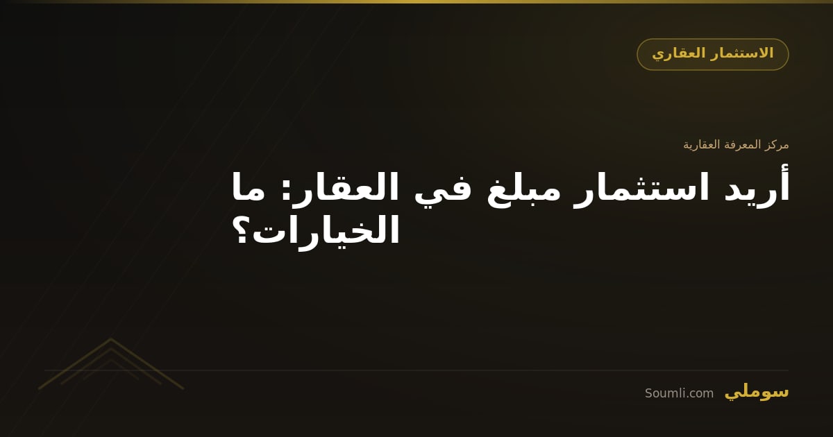 أريد استثمار مبلغ في العقار: ما الخيارات؟