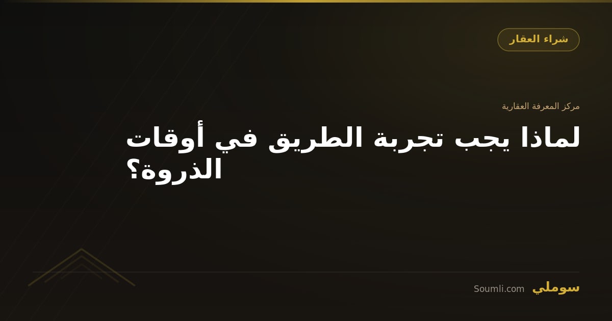 لماذا يجب تجربة الطريق في أوقات الذروة؟