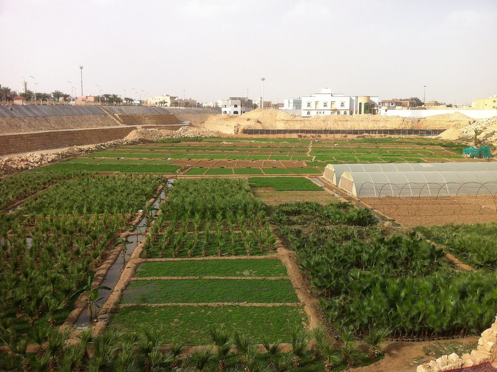 اختلاف التصنيف العقاري داخل العينة في الرياض: الشريحة السعرية المتوسطة الدنيا