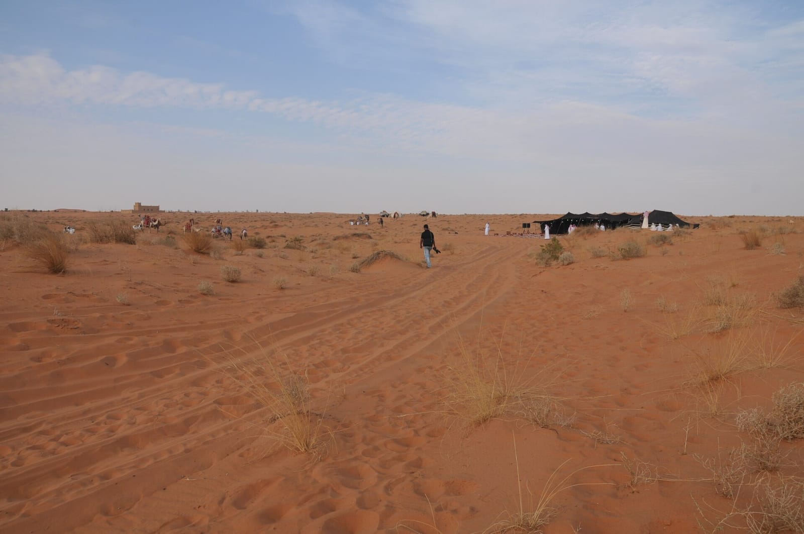 شراء أرض سكنية في الرياض: التحقق من الصك والموقع والخدمات