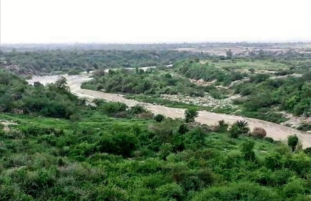 تهيئة المنزل لعطلة نهاية الأسبوع للعائلة في جازان