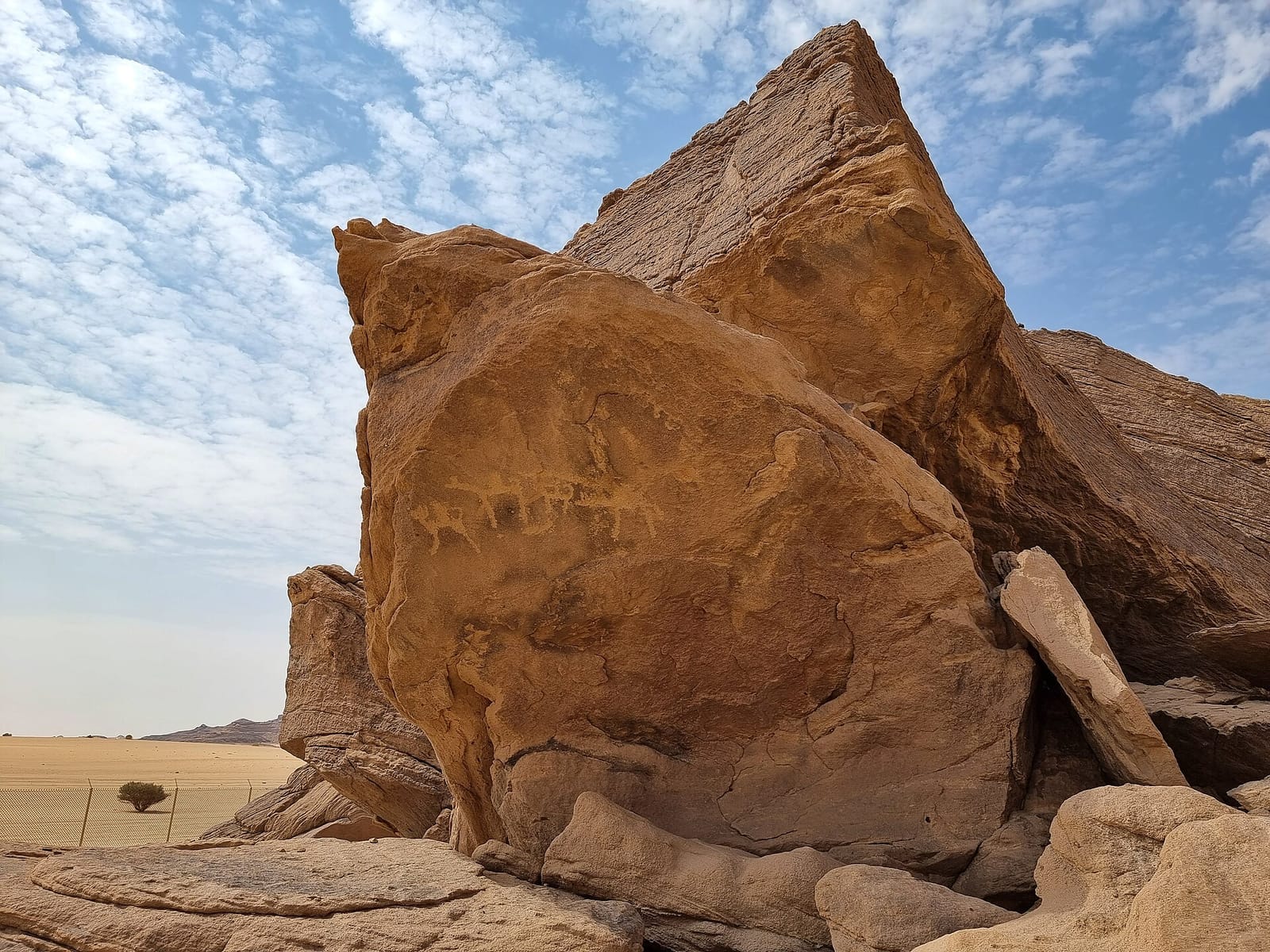 المفروش وغير المفروش في السكن اليومي في نجران