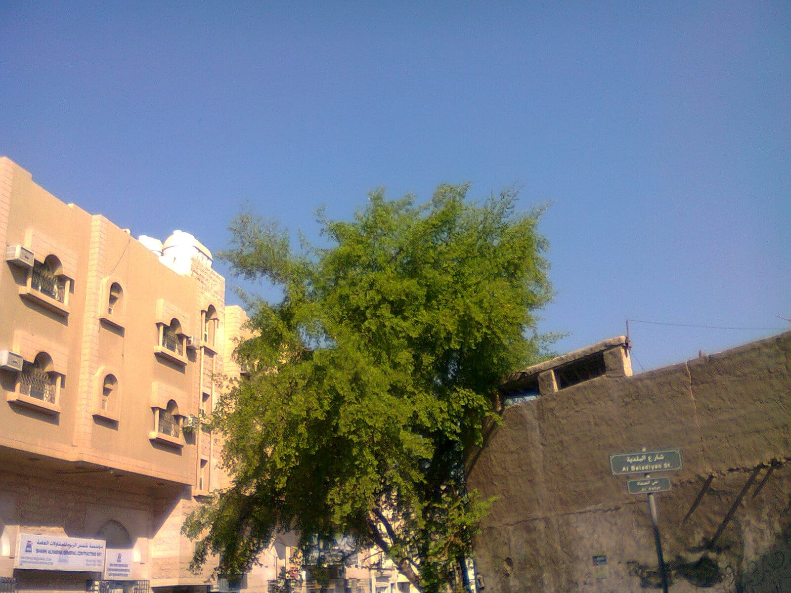تجهيز مجلس الضيوف بما يناسب عادات الضيافة في الجبيل