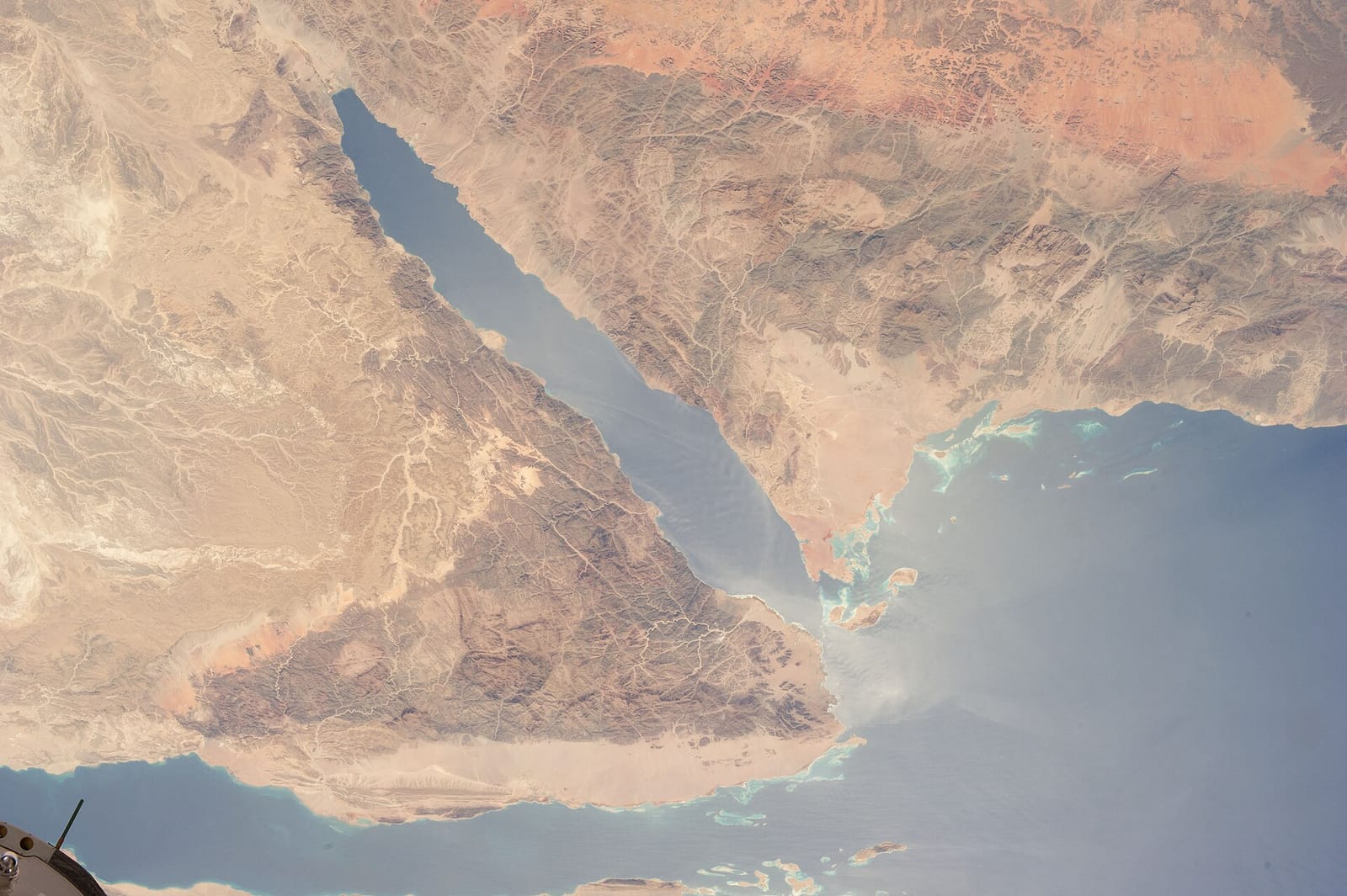تجهيز مجلس الضيوف بما يناسب عادات الضيافة في تبوك
