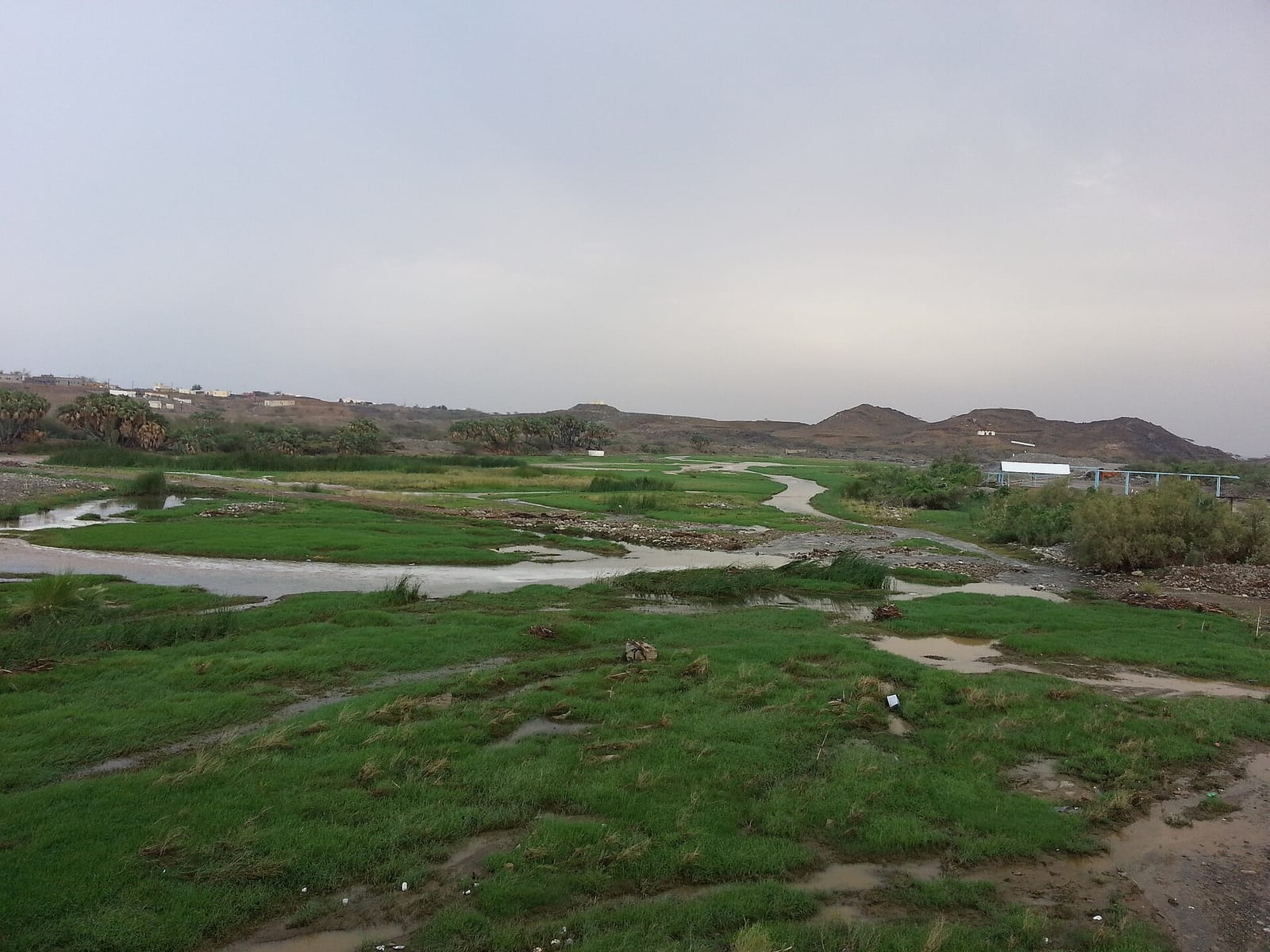 ضبط ميزانية السكن الشهرية للأسرة في جازان