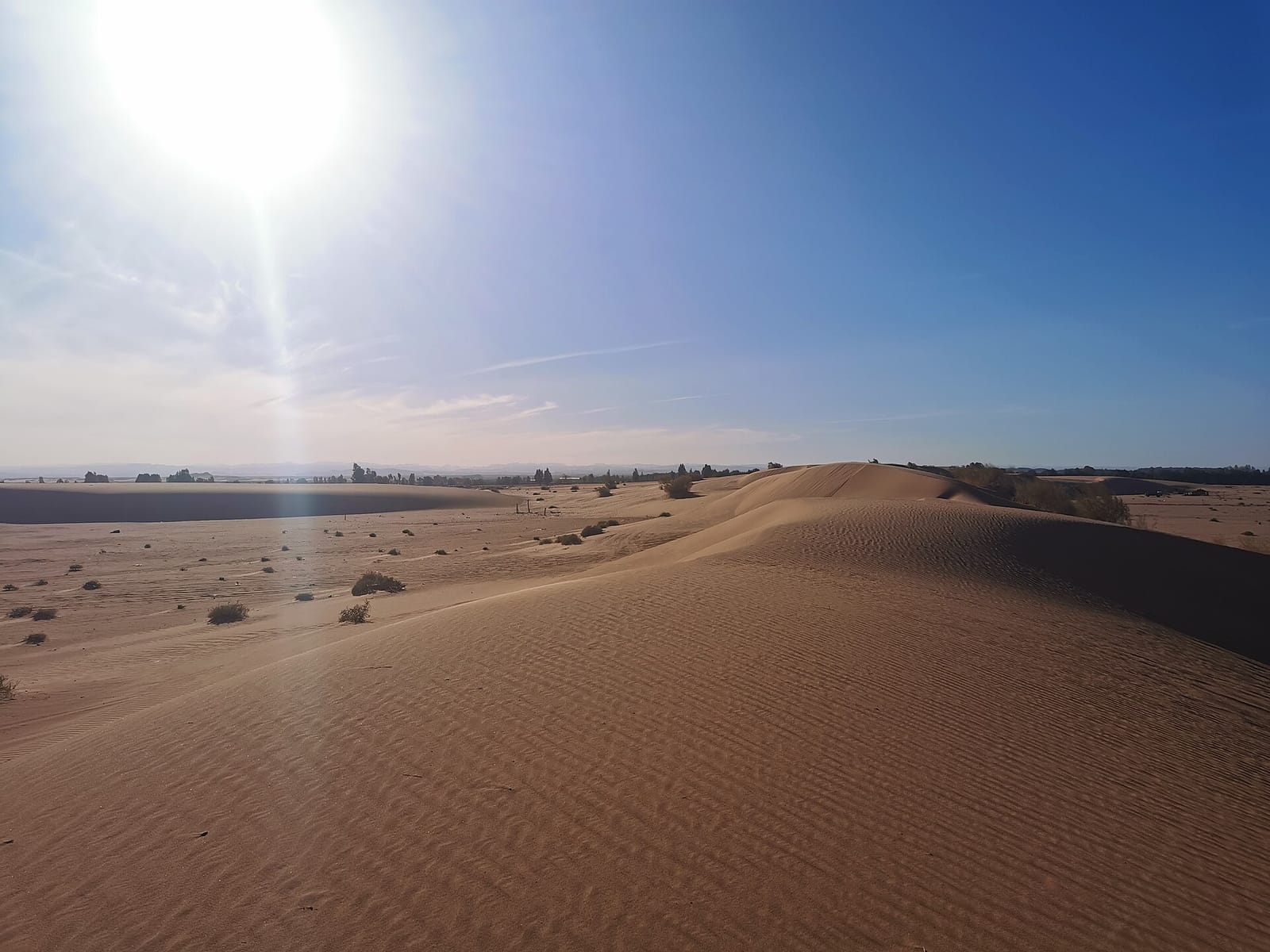قائمة فحص السلامة المنزلية الدورية في تبوك