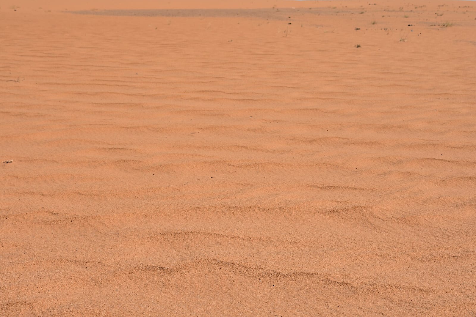 تخصيص ركن للعمل والدراسة من المنزل في نجران