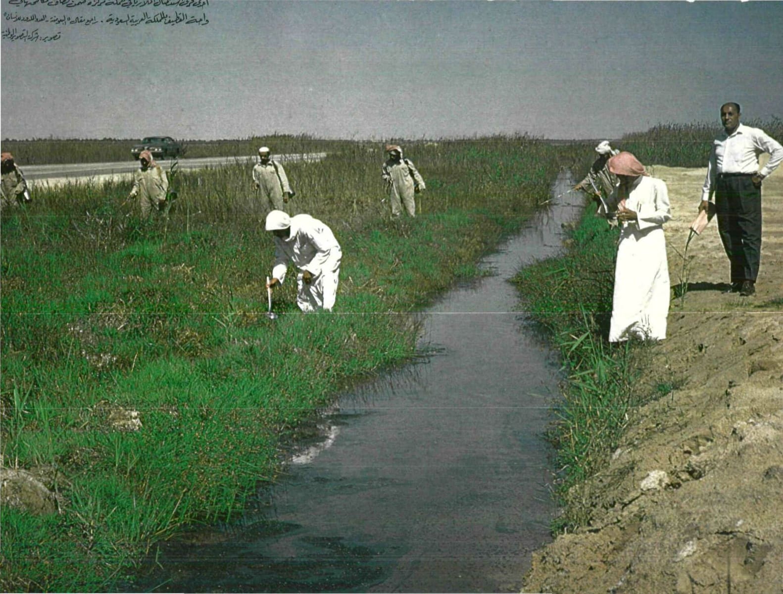 مساحات لعب الأطفال الآمنة داخل مساكن القطيف