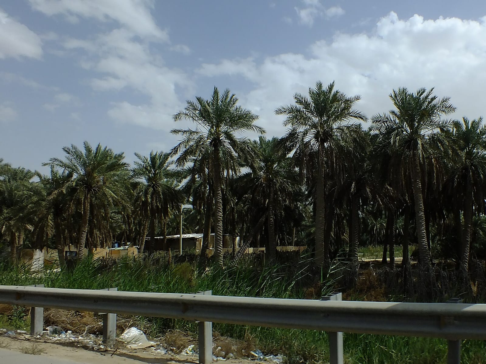 تخطيط رحلة الصباح إلى العمل والمدرسة في الهفوف