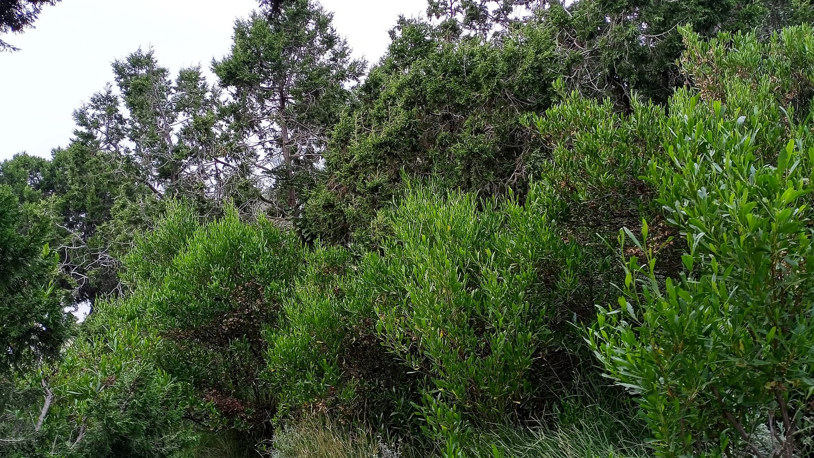 خطة أول أسبوع بعد الانتقال إلى منزل جديد في أبها