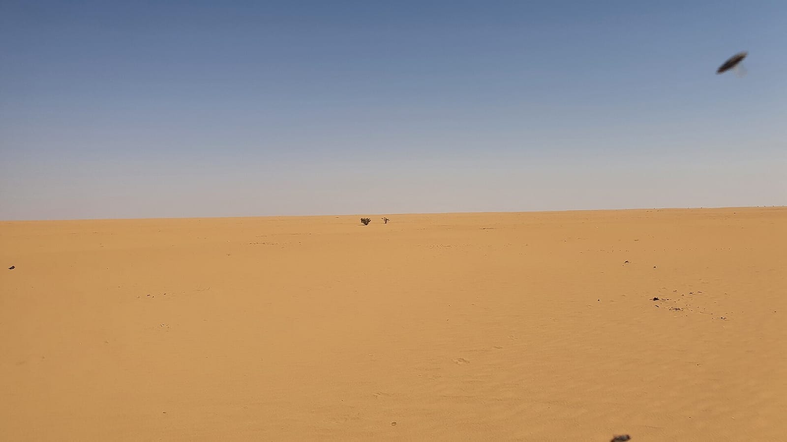 تسليم المنزل عند المغادرة دون خصومات في نجران