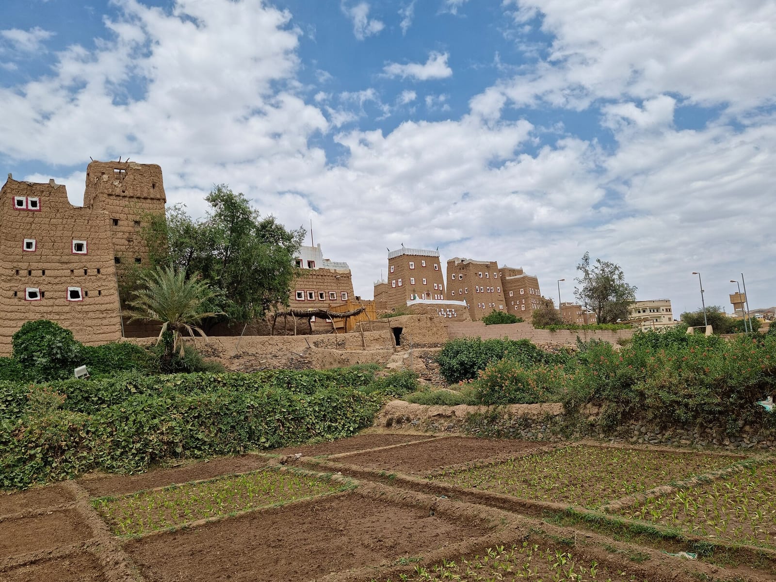 اختيار الحي المناسب للأفراد العاملين في الظهران