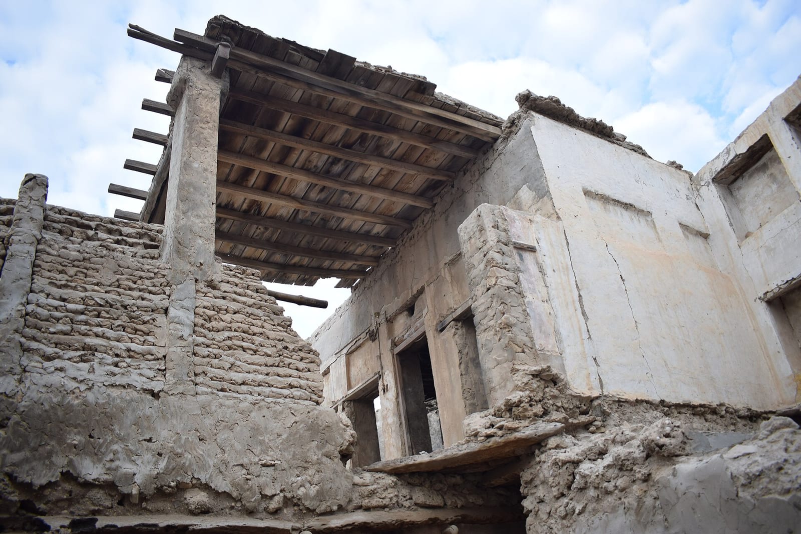 الوقاية من الحشرات المنزلية خلال فصول القطيف