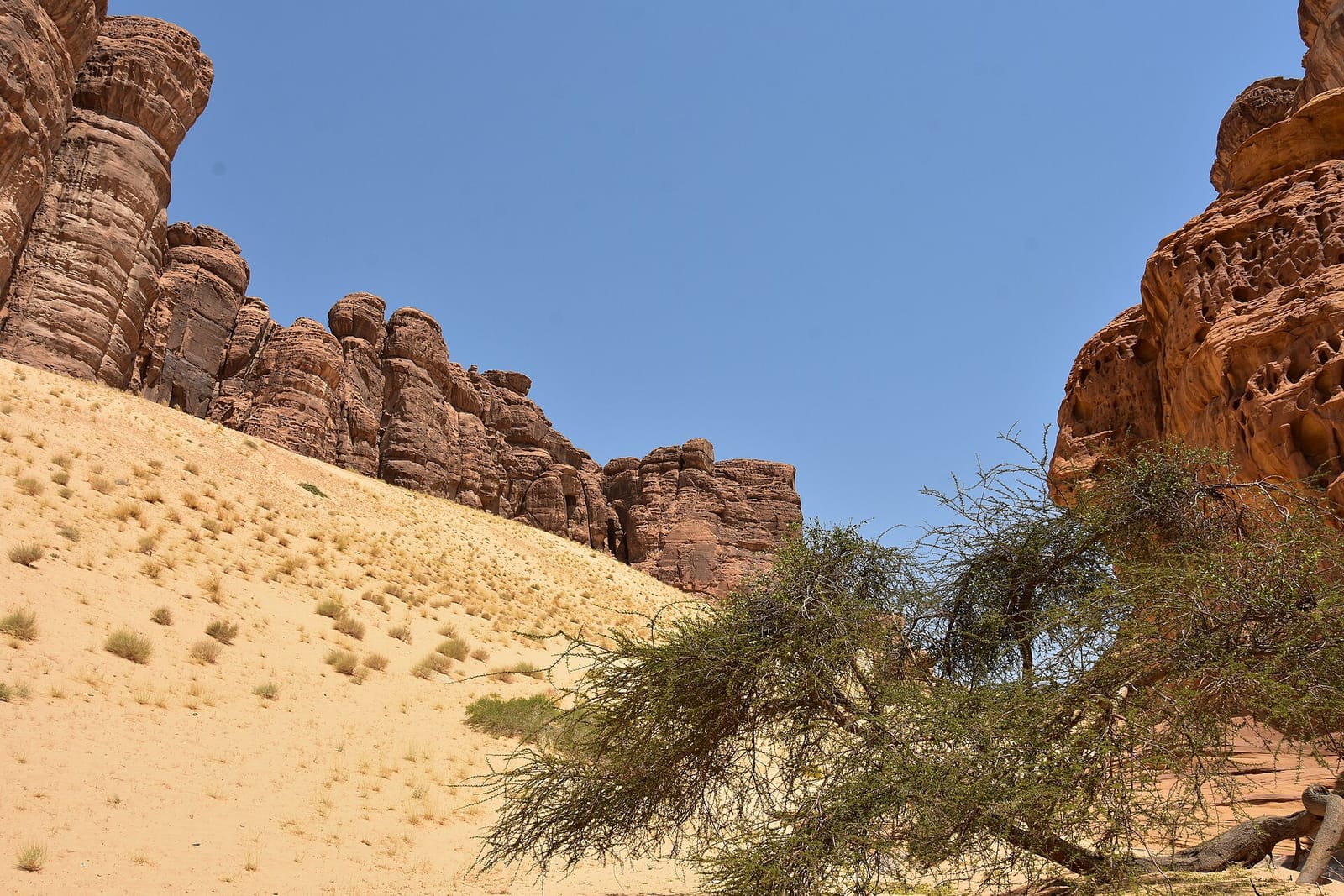 الإيجار أم الشراء من زاوية نمط الحياة في العلا