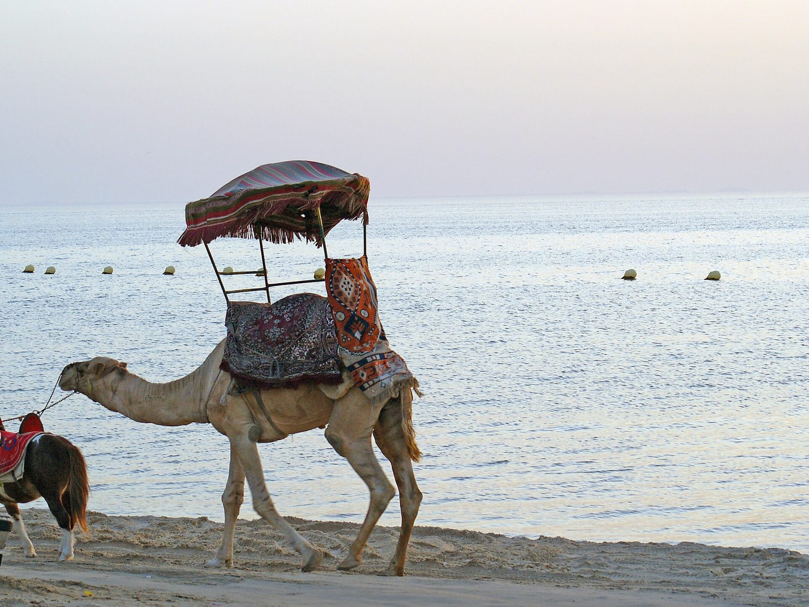 تنظيم تبريد المنزل خلال صيف الخبر: عادات يومية عملية