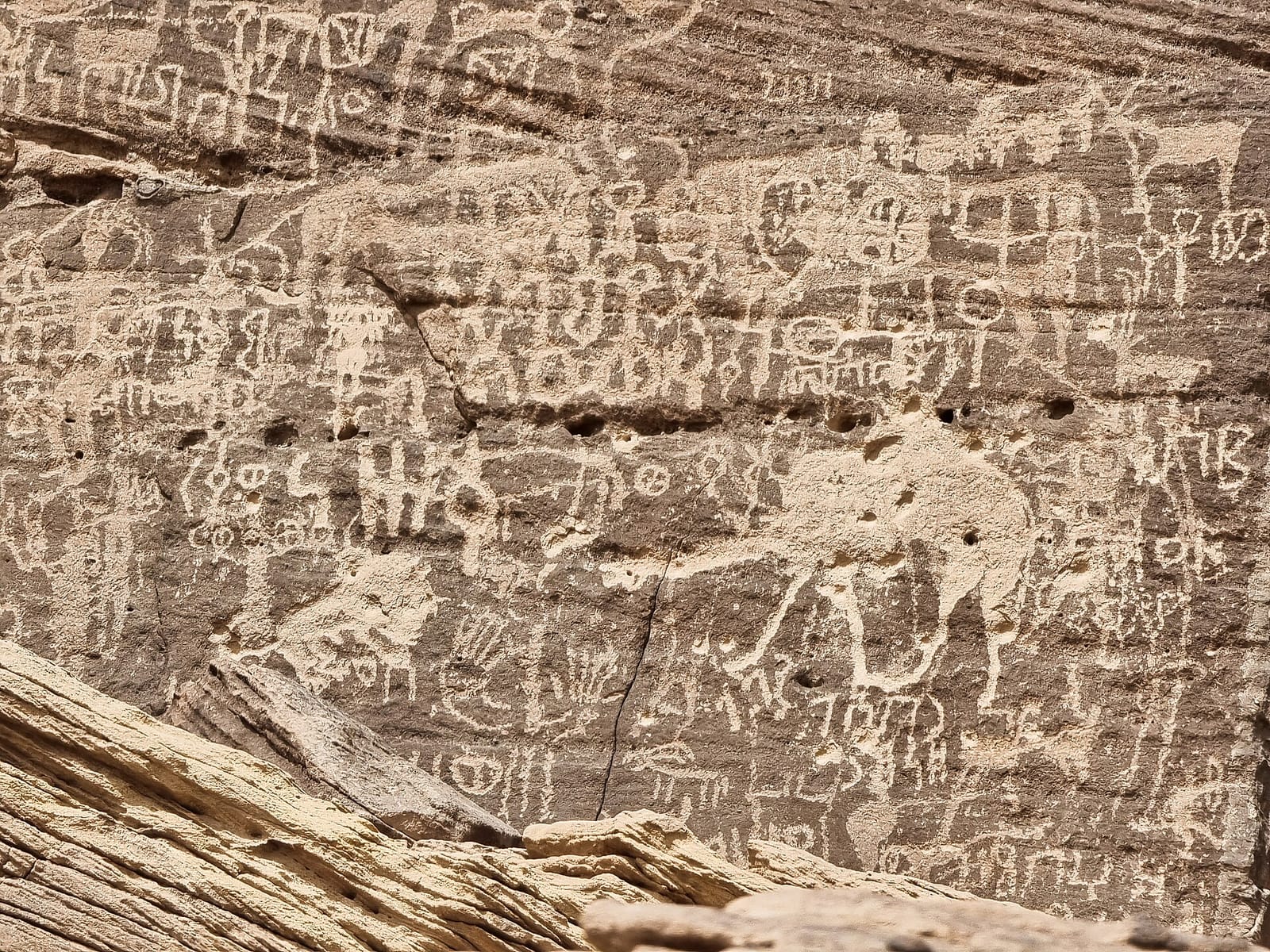 مسؤوليات الصيانة على المستأجر في مساكن نجران