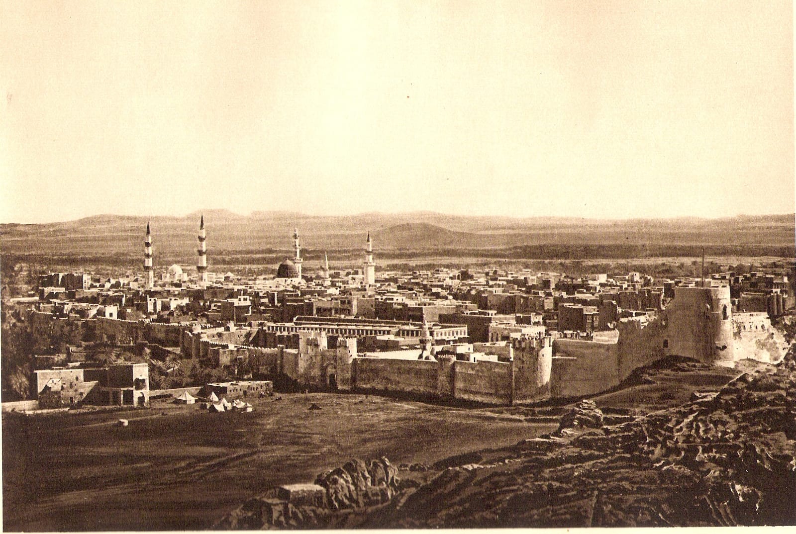 العناية بحوش الفيلا وحديقتها الصغيرة في المدينة المنورة