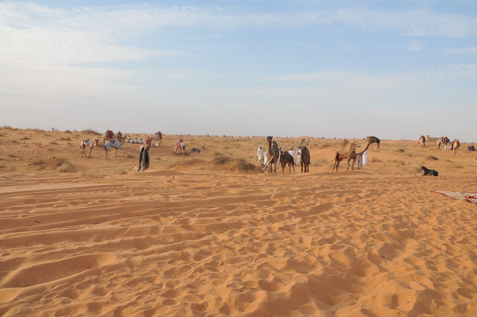 جدولة تنظيف خزان المياه المنزلي في الرياض